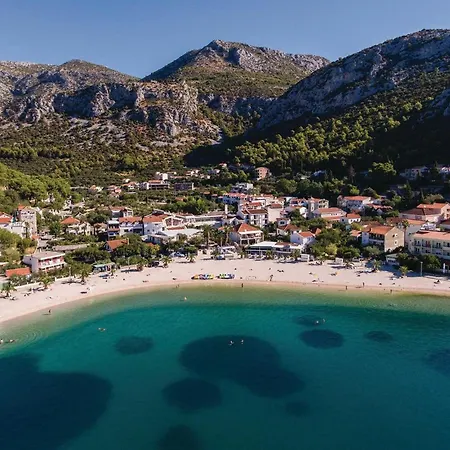 Pet Friendly In With Kitchen *