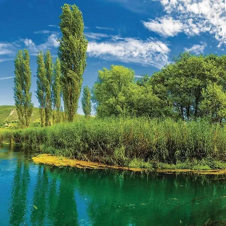 Pet Friendly In With Kitchen Klek